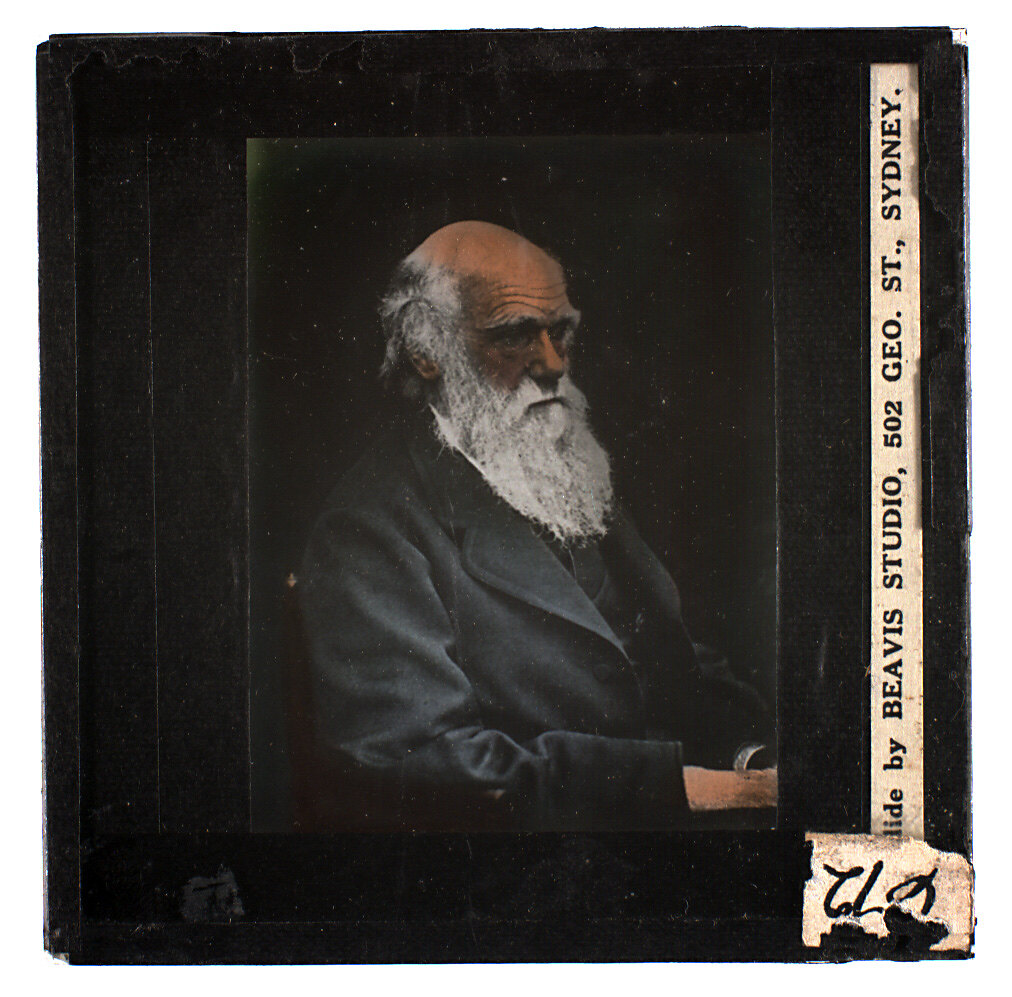 Lantern Slide - Charles Darwin, circa 1930-1949