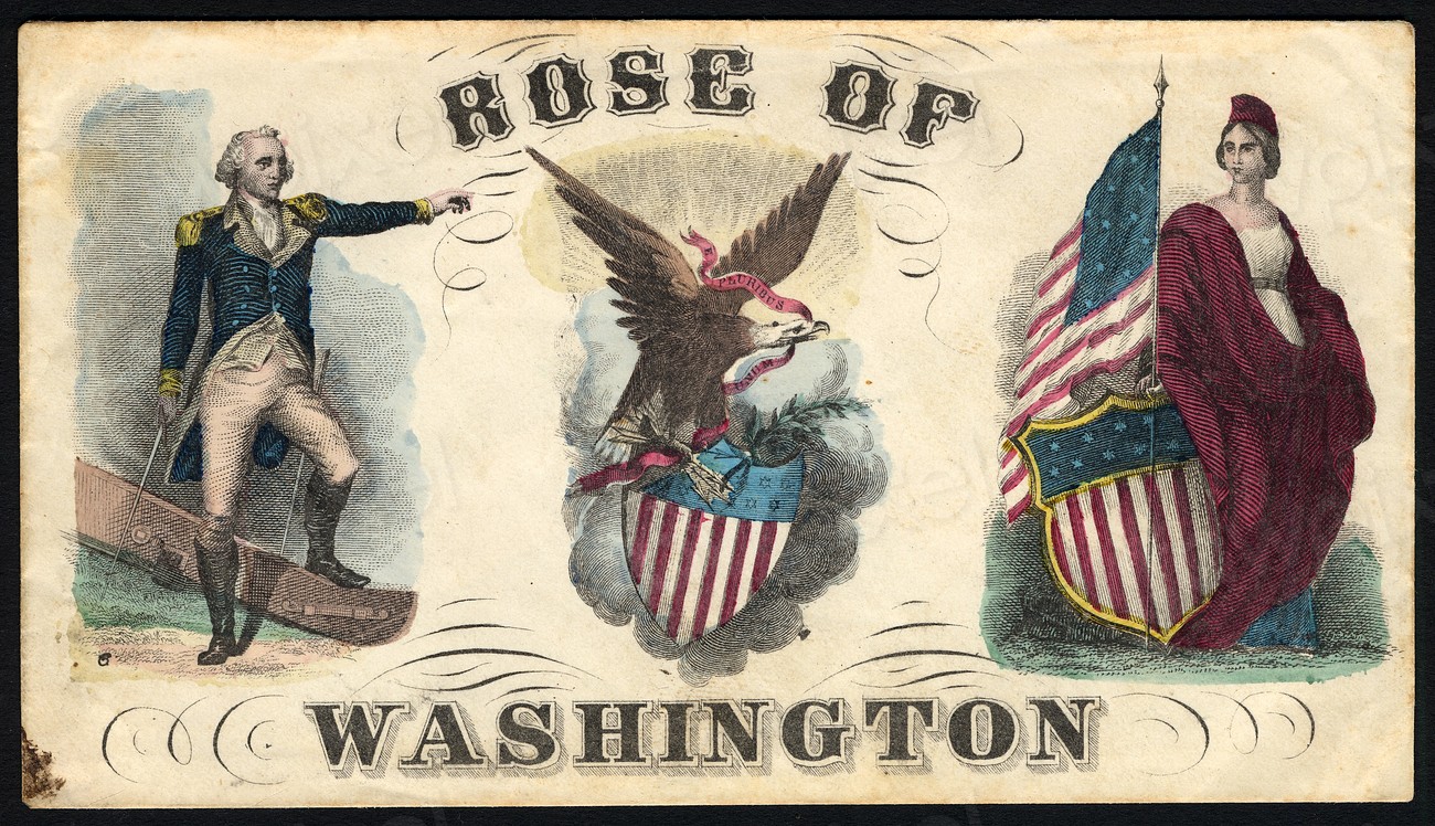 'Rose of Washington' Civil War