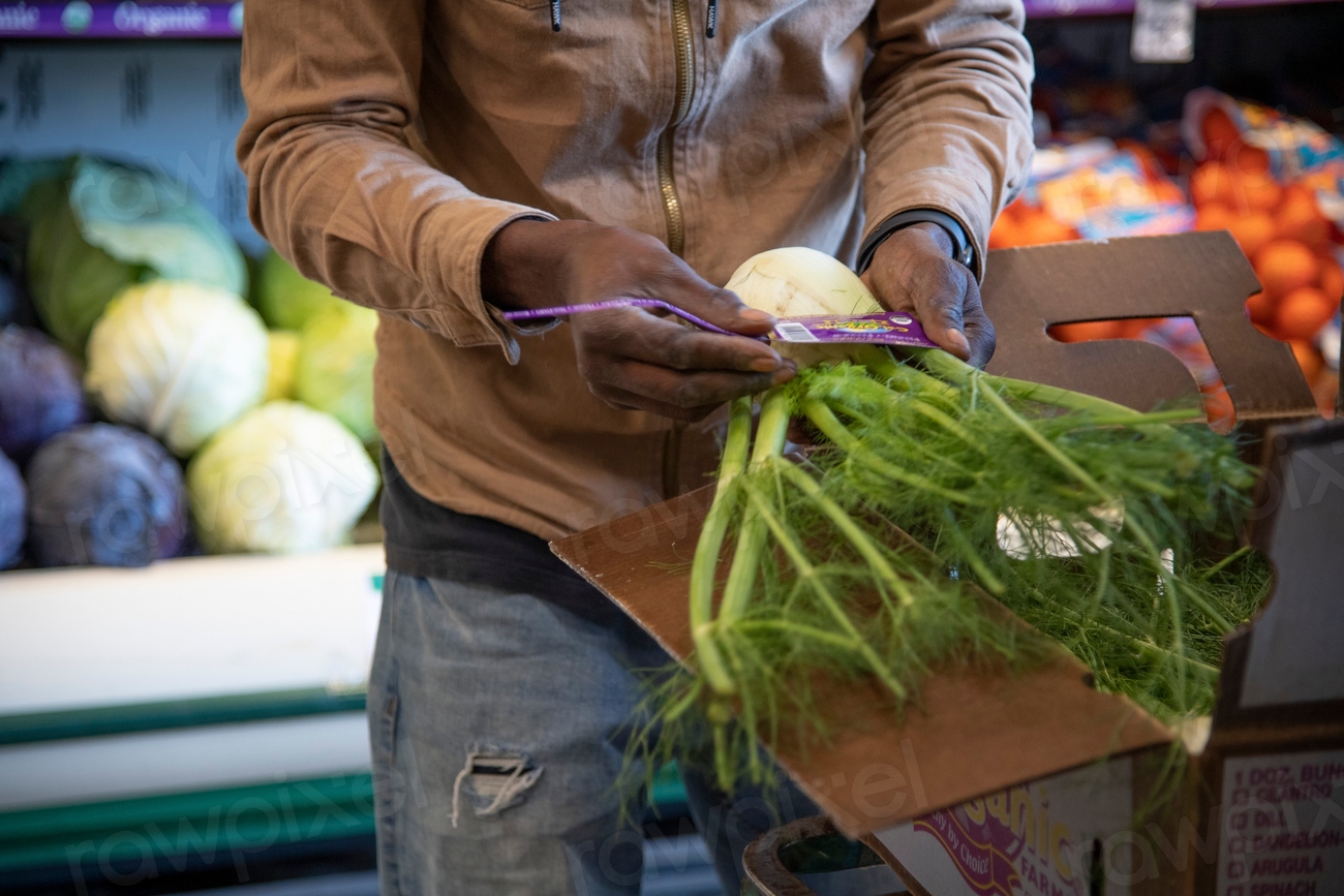 Fresh vegetable in supermarket