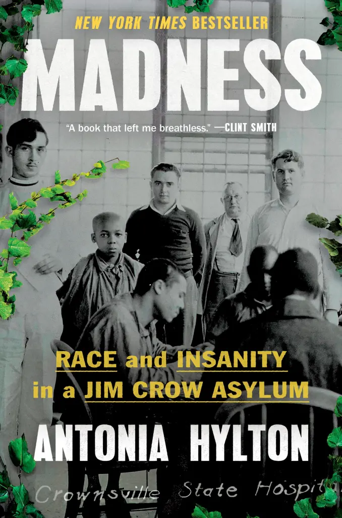 Madness, Race & Insanity: A Fair Description Of America